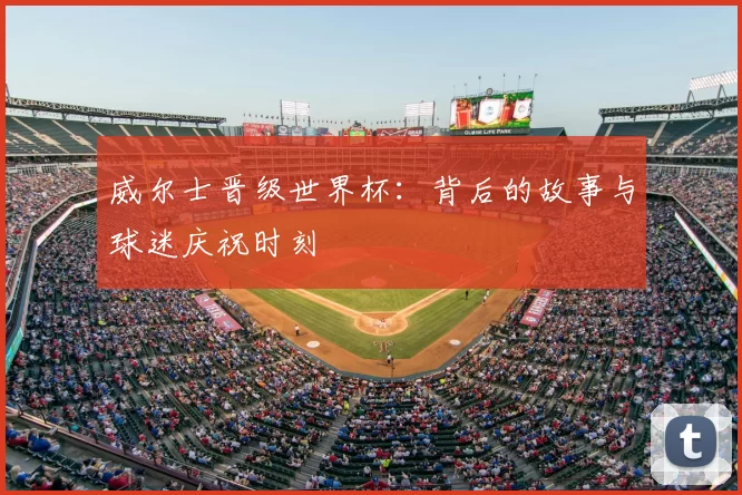 威尔士晋级世界杯：背后的故事与球迷庆祝时刻