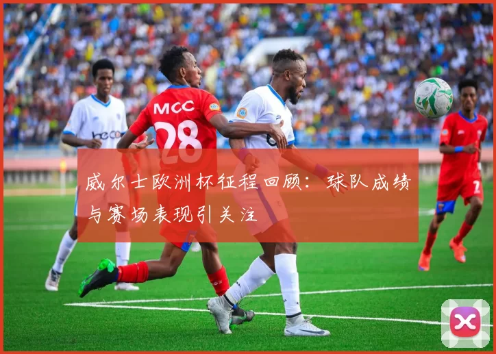 威尔士欧洲杯征程回顾：球队成绩与赛场表现引关注