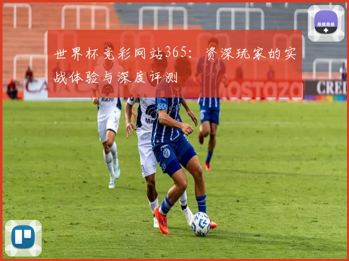 世界杯竞彩网站365：资深玩家的实战体验与深度评测