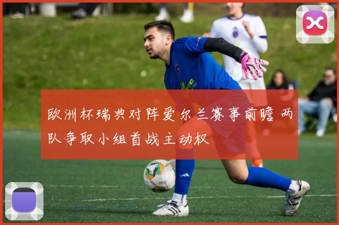 欧洲杯瑞典对阵爱尔兰赛事前瞻 两队争取小组首战主动权