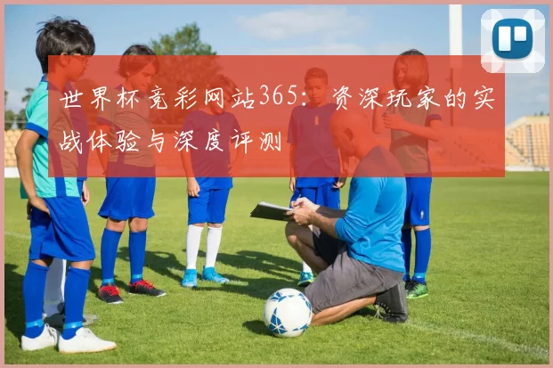 世界杯竞彩网站365：资深玩家的实战体验与深度评测