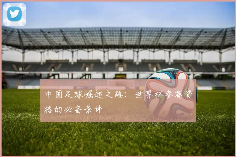 中国足球崛起之路：世界杯参赛资格的必备条件