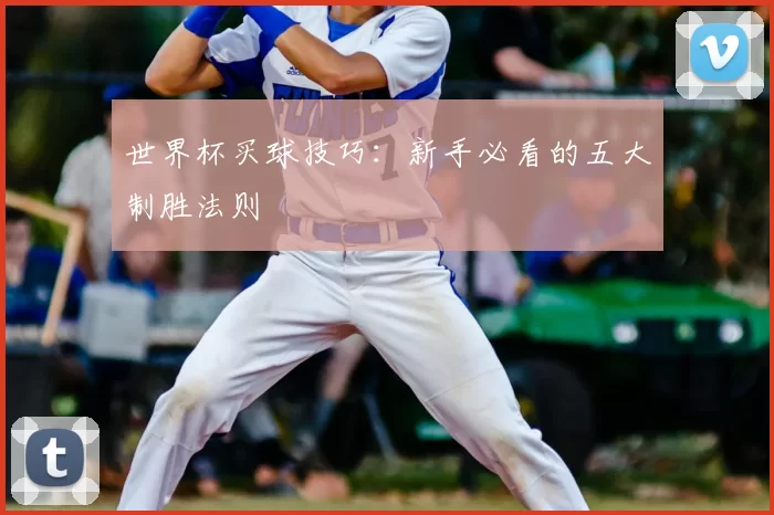 世界杯买球技巧:新手必看的五大制胜法则
