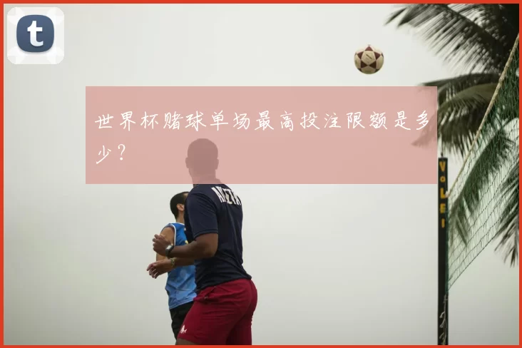 世界杯赌球单场最高投注限额是多少？