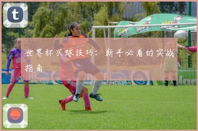 世界杯买球技巧：新手必看的实战指南